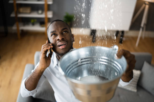 Best Ceiling water damage repair  in Albany, WI