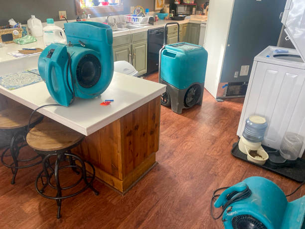 Best Commercial water damage restoration  in Albany, WI