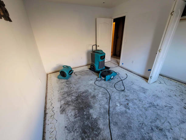 Water damage restoration insurance claims in Albany, WI