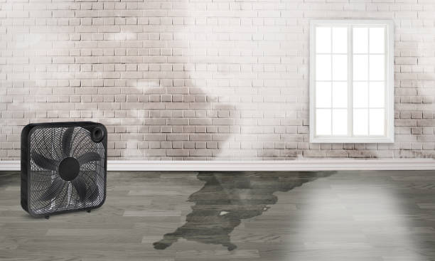 Reliable Albany, WI Water damage restoration Solutions