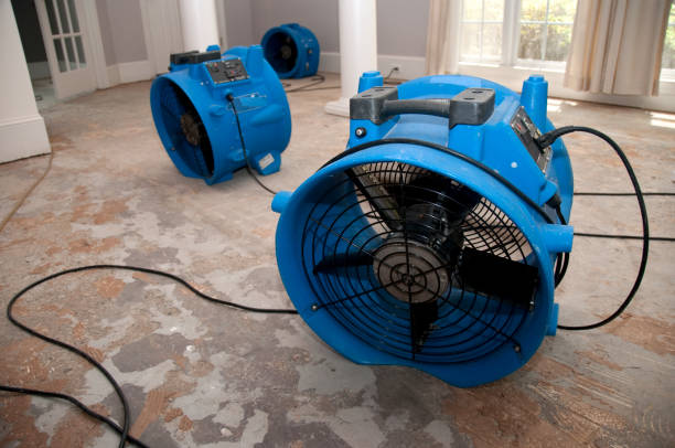 Best Water damage contractors near me  in Albany, WI