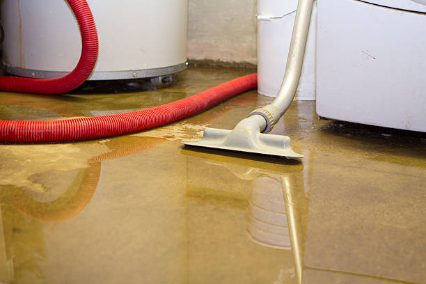 Best Water damage restoration near me  in Albany, WI