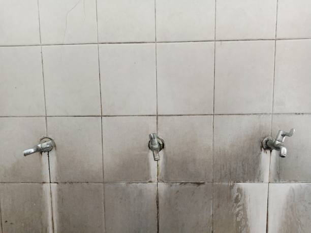 Best Basement water damage restoration  in Albany, WI
