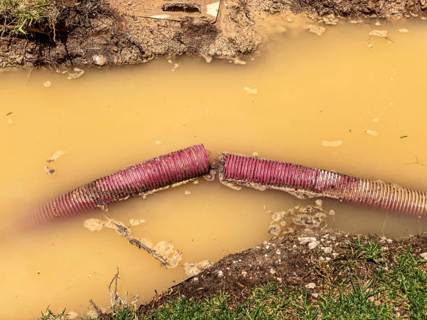  Albany, WI Water damage restoration Pros