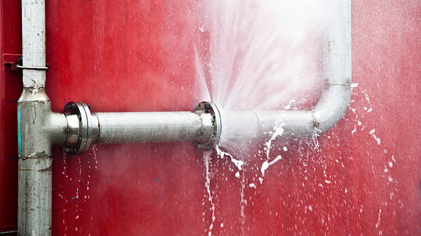 Best Mold removal after water damage  in Albany, WI